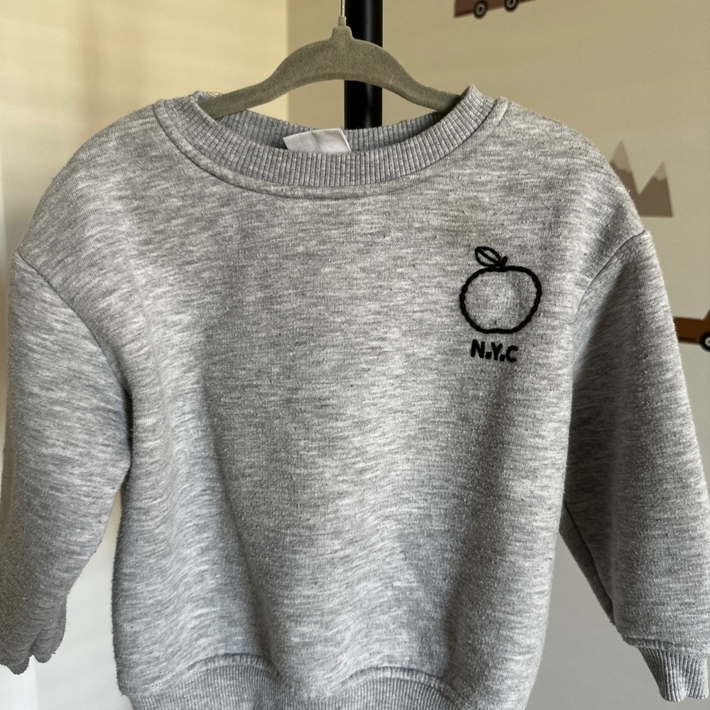 Zara Toddler NYC Embroidered Sweatshirt | 18-24 months